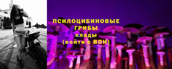2c-b Гусев