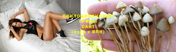 2c-b Гусев