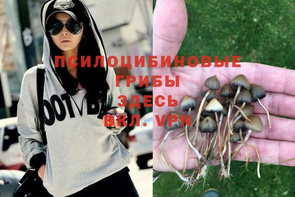 кокаин перу Гусь-Хрустальный