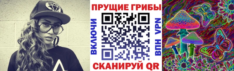 Купить  Туринск  Псилоцибиновые грибы Cubensis 